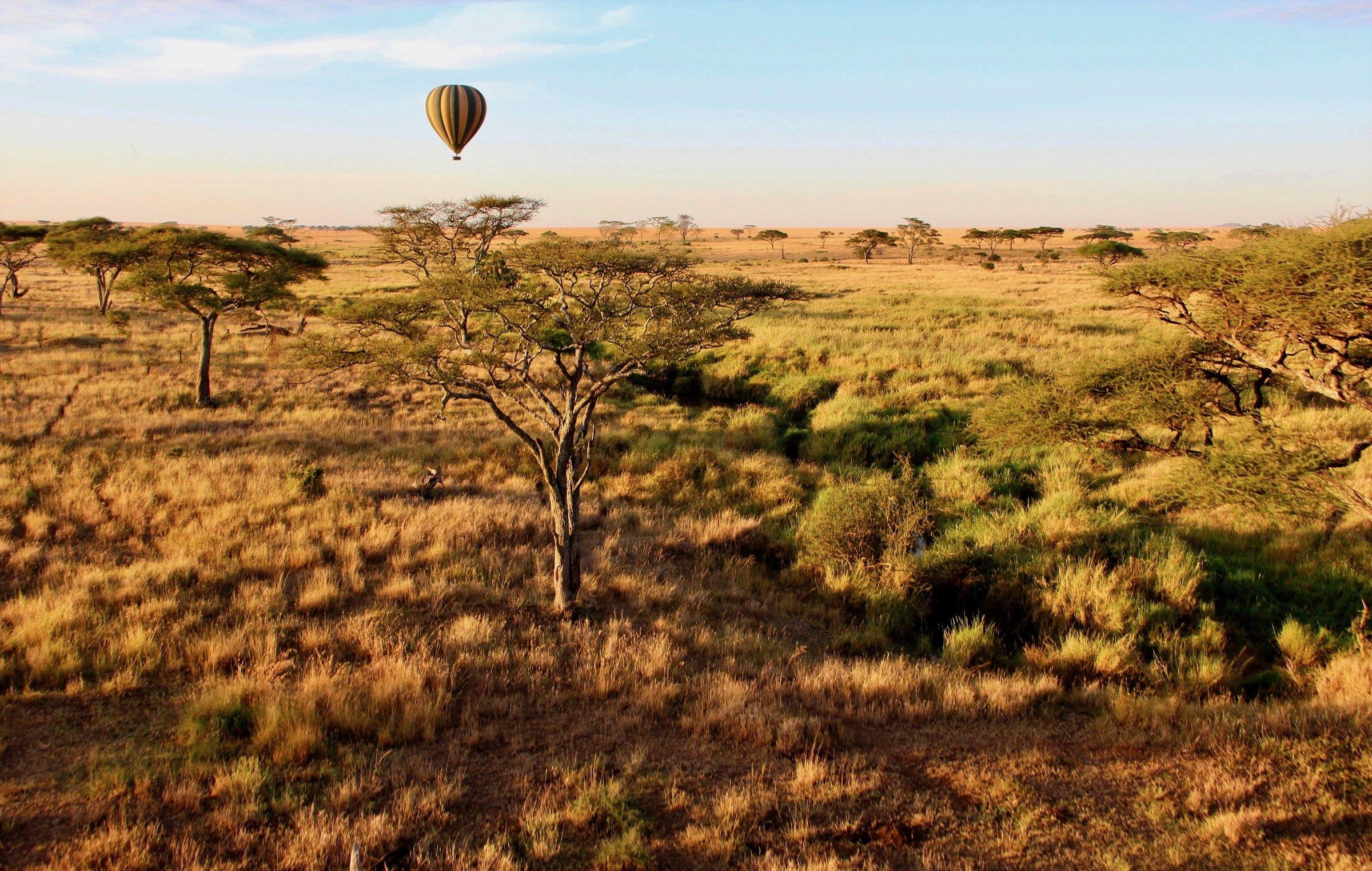A hot-air balloon drifting over the Serengeti plains at sunrise, Tanzania
